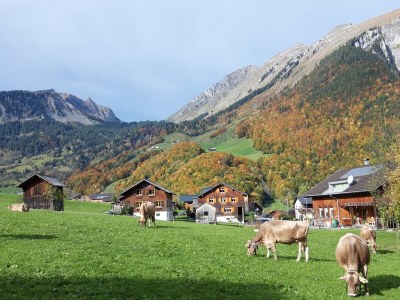 Holiday apartment Irmgard - Environment photo 32