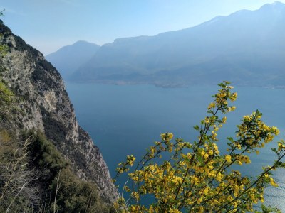 Holiday house Casa Castagneto - Environment photo 19