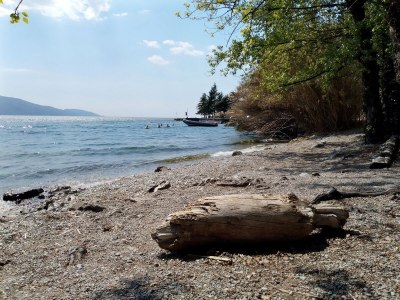 Holiday house Casa Castagneto - Environment photo 20