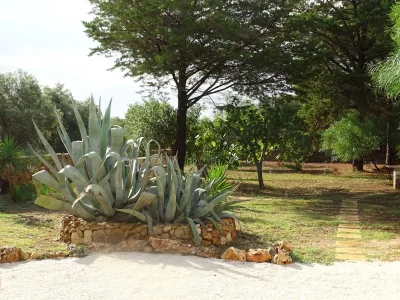 Holiday house Tenuta Marchese - Outdoor photo 8