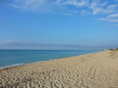 Holiday house Tenuta Marchese - Environment photo 16