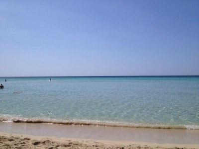 Holiday house Tenuta Marchese - Environment photo 17