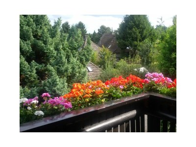 Holiday house Landhouse Kathy - Outdoor photo 14