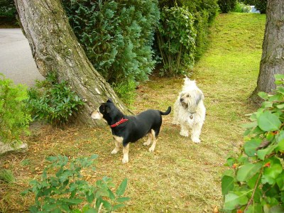 Holiday house Landhouse Kathy - Environment photo 29