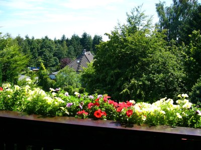 Holiday house Landhouse Kathy - Environment photo 32