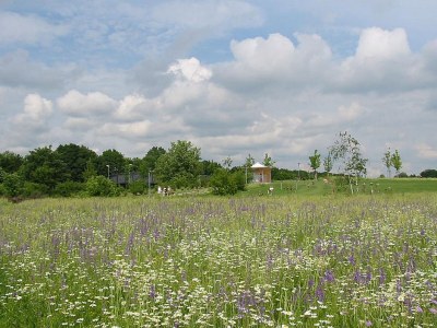 Holiday apartment Eversleigh Illereichen - Environment photo 17