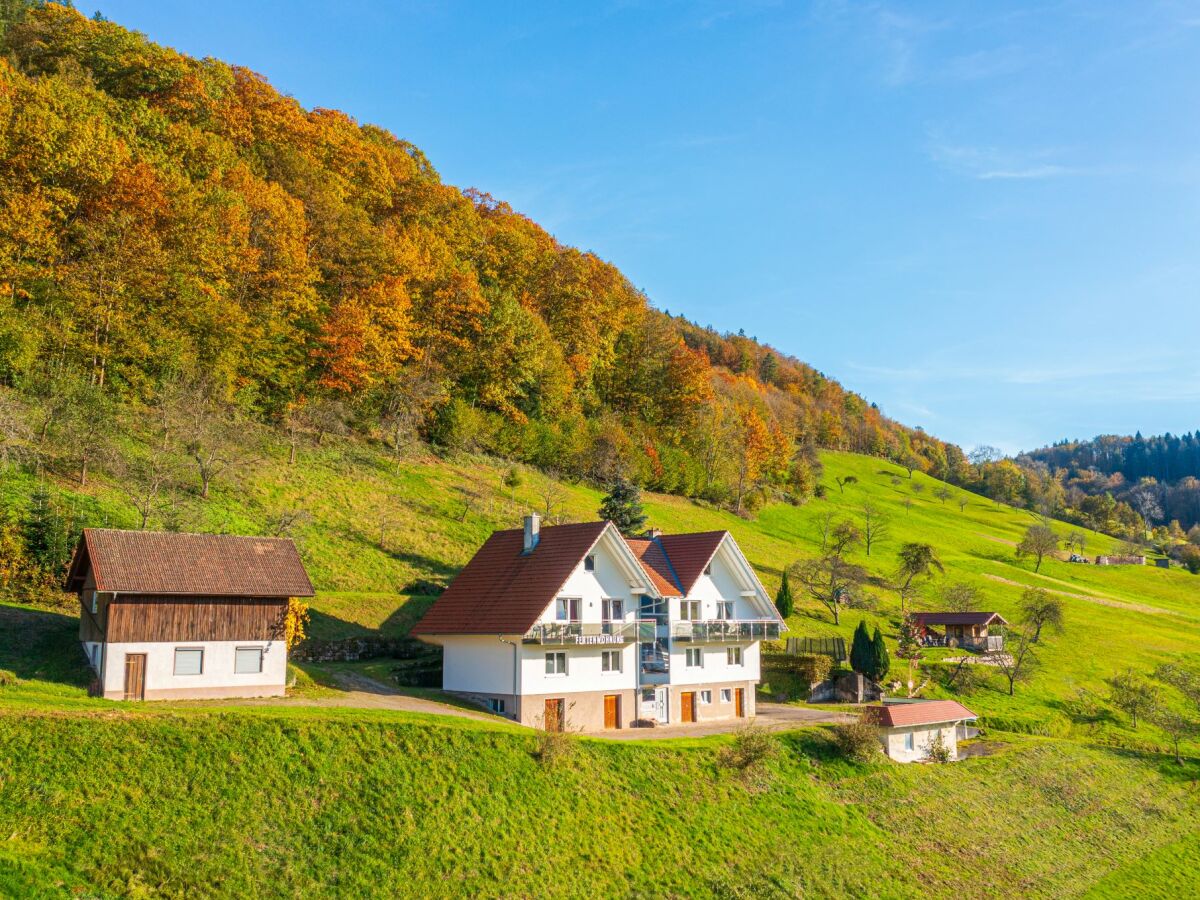 Holiday apartment Roth - Outdoor photo 2