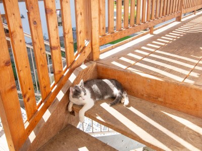 Holiday apartment Hödl - Outdoor photo 18