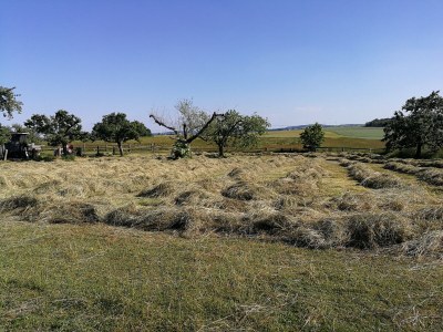 Holiday house Töpferhof Wetenca - Outdoor photo 7