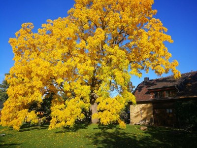 Holiday house Töpferhof Wetenca - Outdoor photo 9