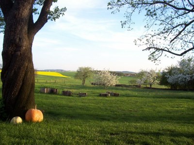 Holiday house Töpferhof Wetenca - Environment photo 20
