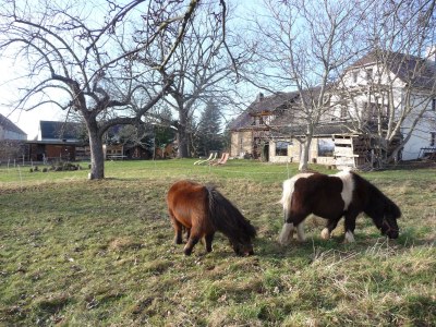 Holiday house Töpferhof Wetenca - Environment photo 21