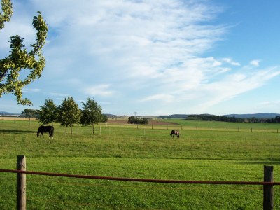 Holiday house Töpferhof Wetenca - Environment photo 25
