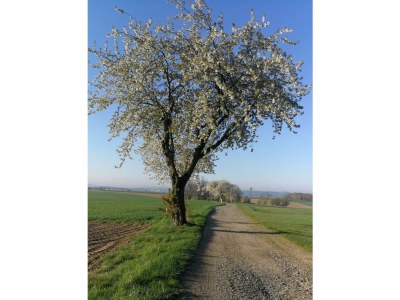 Holiday house Töpferhof Wetenca - Environment photo 27