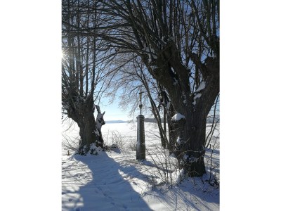 Holiday house Töpferhof Wetenca - Environment photo 28