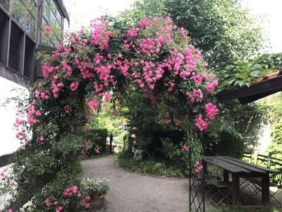 Holiday apartment Altstadtromantik - Outdoor photo 3