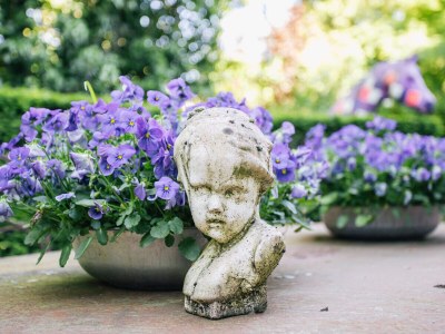 Holiday apartment Altstadtromantik - Outdoor photo 5