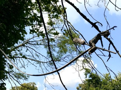 Holiday apartment Altstadtromantik - Outdoor photo 6