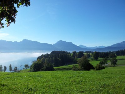 Holiday apartment "Penthouse" Alpenglück - Environment photo 20