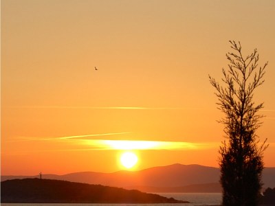 Holiday apartment Seaside home, garden retreat right on the water - Environment photo 25