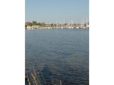 Holiday house Silbermöwe. - Environment photo 21