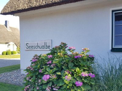 Holiday house Seeschwalbe. - Outdoor photo 6