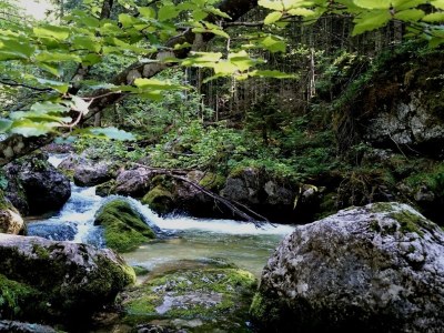 Holiday apartment Möstl - Environment photo 22