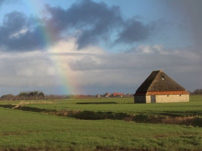 Chalet Coogherveld Texel type 3 - Environment photo 21