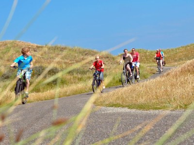 Chalet Coogherveld Texel type 3 - Environment photo 23