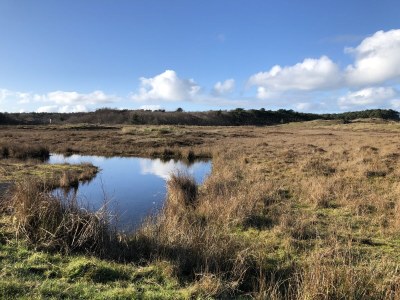 Chalet Coogherveld Texel type 3 - Environment photo 24