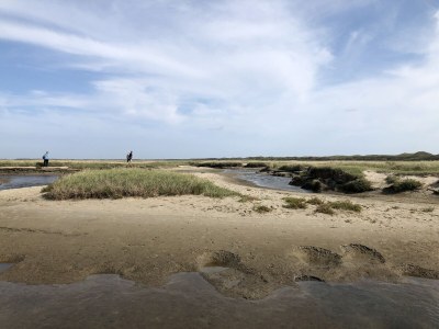 Chalet Coogherveld Texel type 3 - Environment photo 25