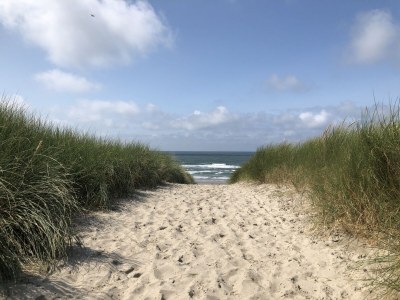 Chalet Coogherveld Texel type 3 - Environment photo 26