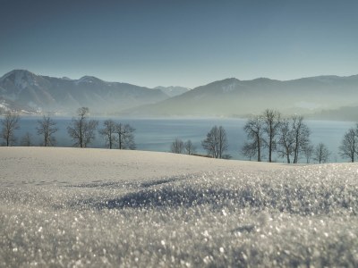 Holiday apartment Palace am See - Environment photo 33