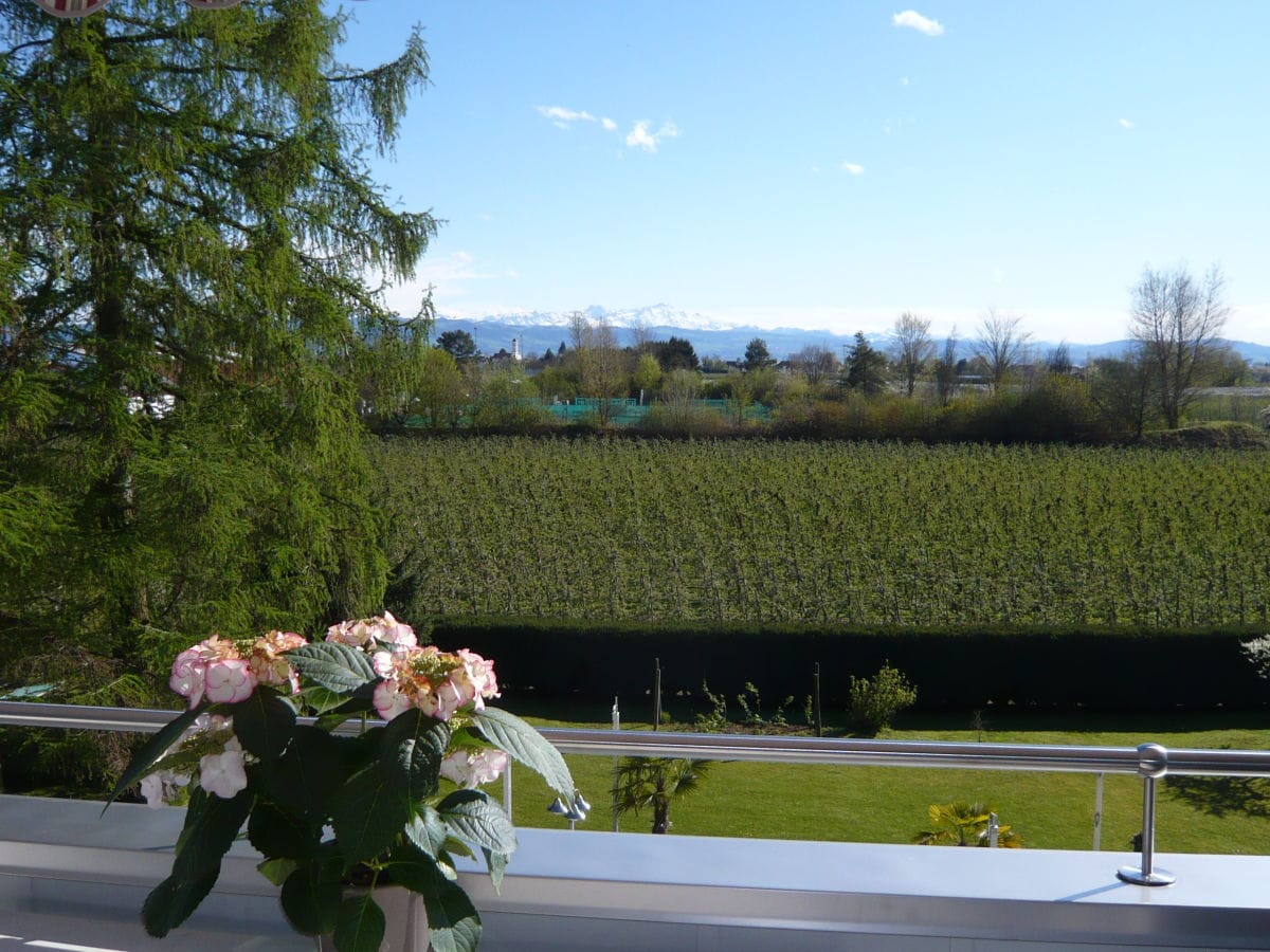 Holiday apartment "A" at house Kübler - Outdoor photo 5