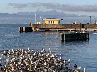 Holiday apartment "A" at house Kübler - Environment photo 23