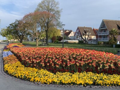 Holiday apartment "A" at house Kübler - Environment photo 24