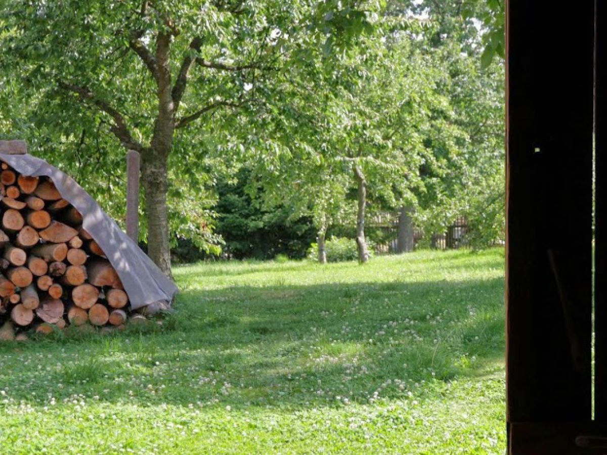 Holiday apartment Ulrich on the Hainich holiday house - Outdoor photo 4