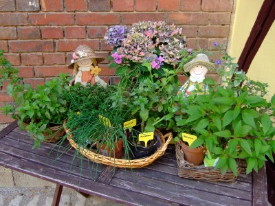 Holiday apartment Ulrich on the Hainich holiday house - Outdoor photo 6