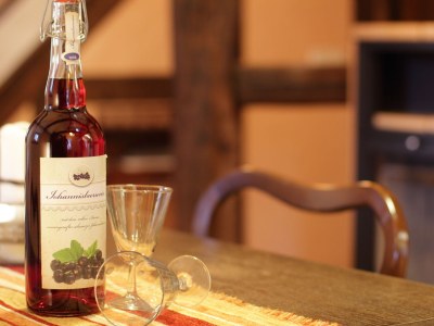 Holiday apartment Ulrich on the Hainich holiday house - Features photo 20