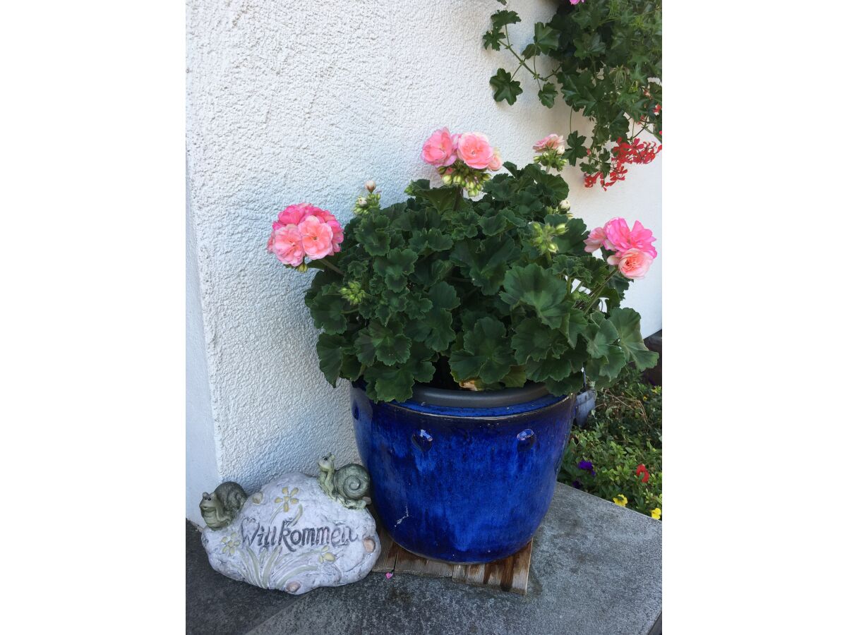 Holiday apartment Apartment in Haus Vogler