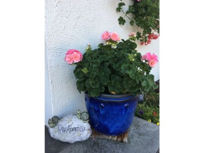 Holiday apartment Apartment in Haus Vogler in Bad Hindelang - Holiday apartment