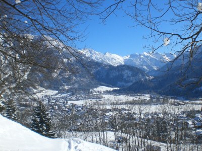 Holiday apartment Apartment in Haus Vogler - Outdoor photo 4