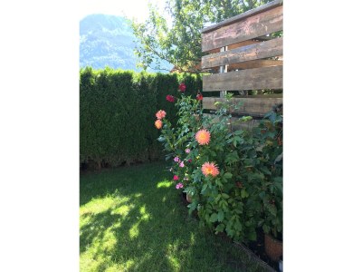 Holiday apartment Apartment in Haus Vogler - Features photo 17