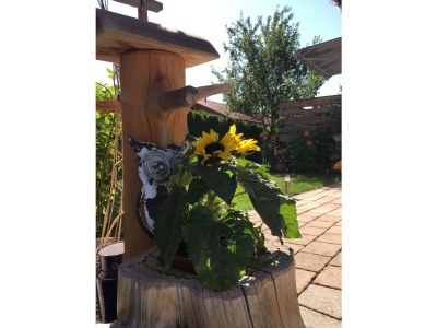 Holiday apartment Apartment in Haus Vogler - Features photo 18