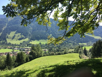 Holiday apartment Apartment in Haus Vogler - Environment photo 21