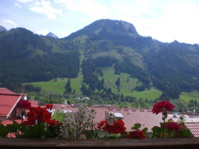 Holiday apartment Apartment in Haus Vogler - Environment photo 23