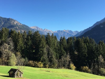 Holiday apartment Apartment in Haus Vogler - Environment photo 24