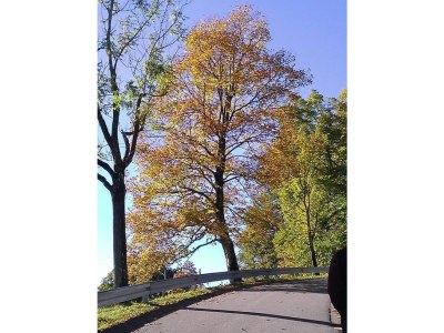 Holiday apartment Apartment in Haus Vogler - Environment photo 25