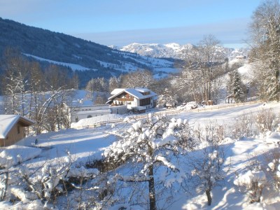 Holiday apartment Apartment in Haus Vogler - Environment photo 26