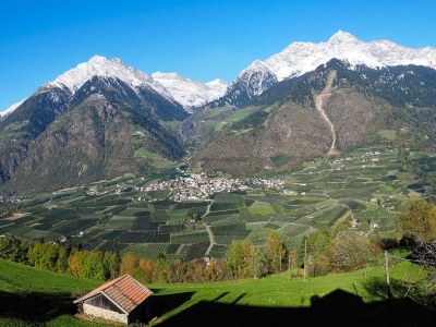 Holiday apartment Adlerhorst - Environment photo 13